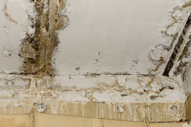 Luling, LA Water damage restoration Company